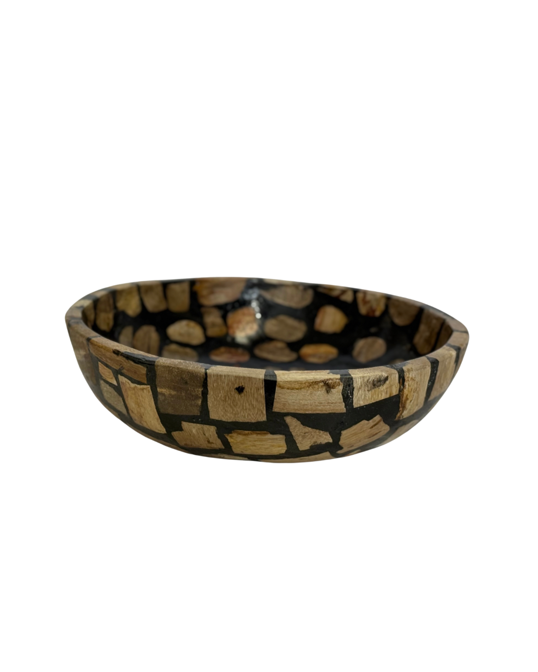 FOSSILISED WOOD BOWL | BLACK